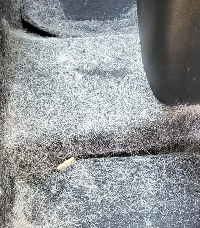 Pet Hair Removal - Add-On