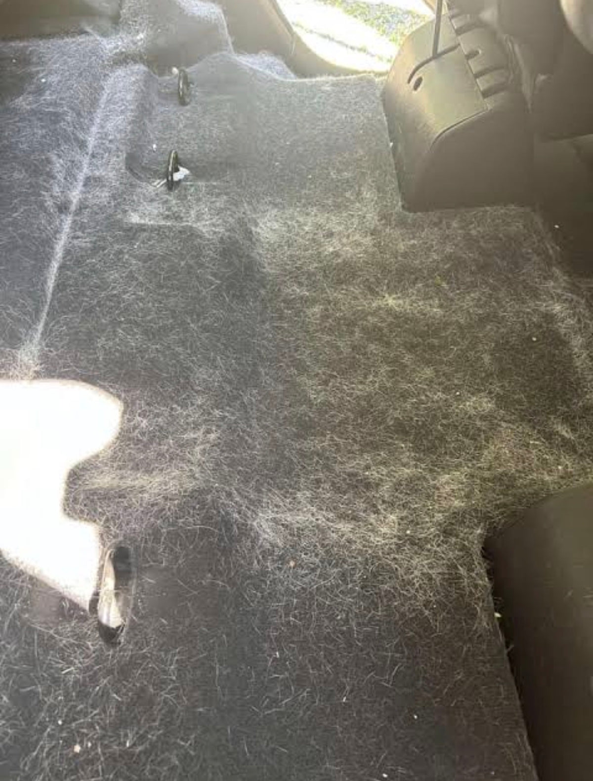 Pet Hair Removal - Add-On